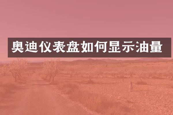 奥迪仪表盘如何显示油量