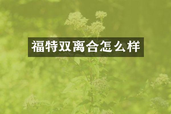 福特双离合怎么样