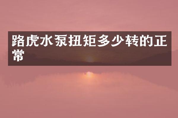 路虎水泵扭矩多少转的正常