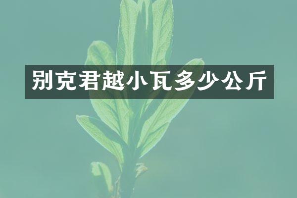 别克君越小瓦多少公斤