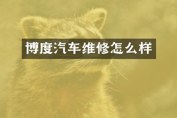 博度汽车维修怎么样