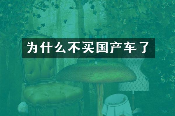 为什么不买国产车了