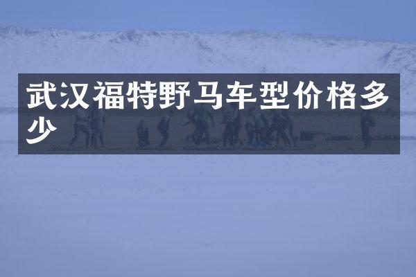 武汉福特野马车型价格多少