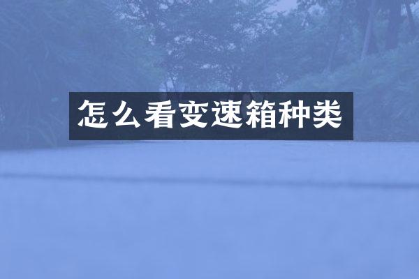 怎么看变速箱种类