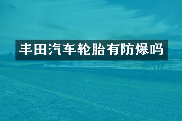丰田汽车轮胎有防爆吗