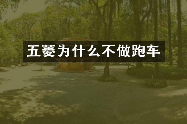 五菱为什么不做跑车