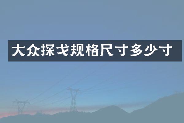 大众探戈规格尺寸多少寸