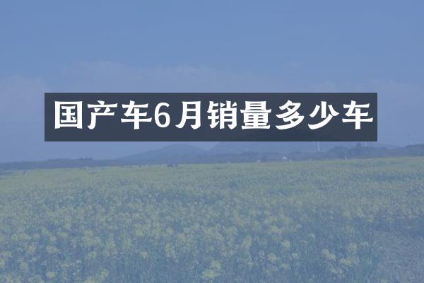 国产车6月销量多少车
