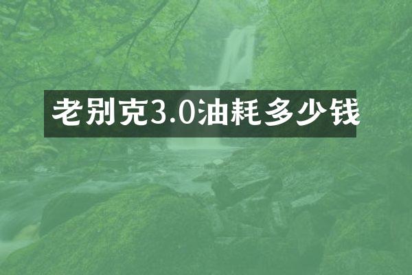 老别克3.0油耗多少钱