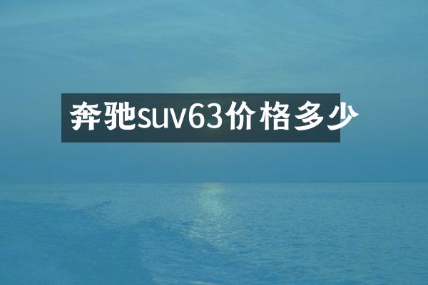 奔驰suv63价格多少