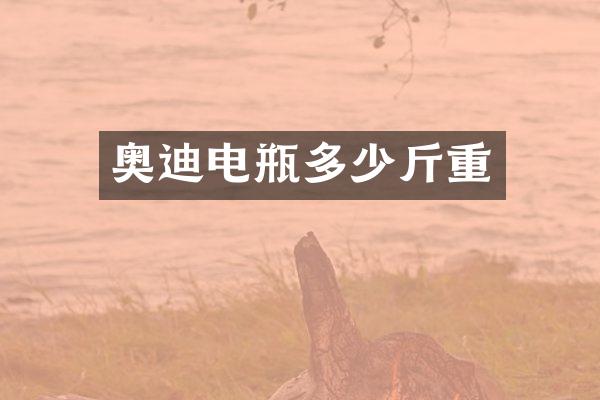 奥迪电瓶多少斤重