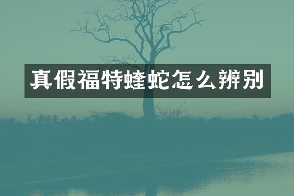 真假福特蝰蛇怎么辨别