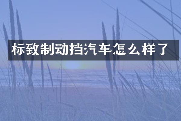 标致制动挡汽车怎么样了