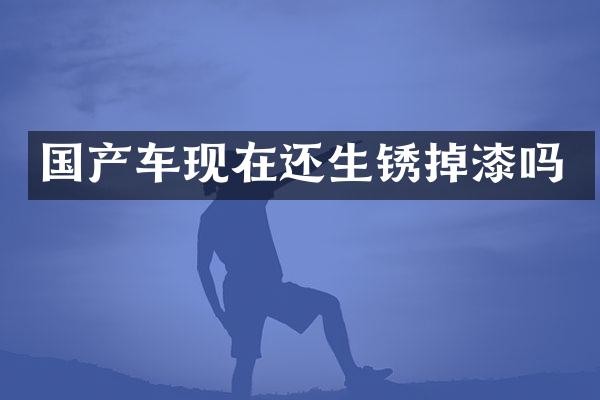 国产车现在还生锈掉漆吗
