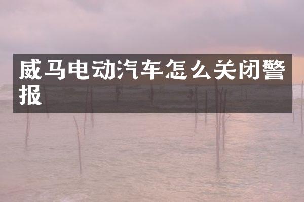 威马电动汽车怎么关闭警报