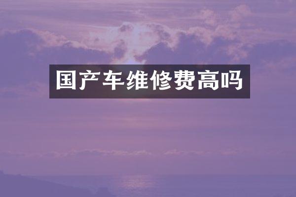 国产车维修费高吗