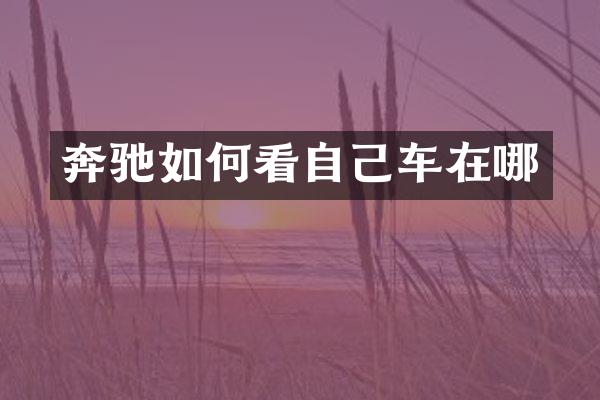 奔驰如何看自己车在哪