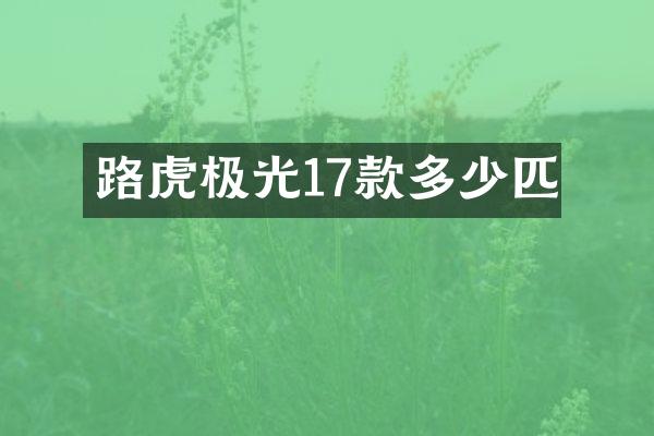 路虎极光17款多少匹
