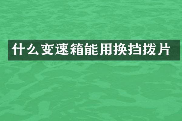 什么变速箱能用换挡拨片