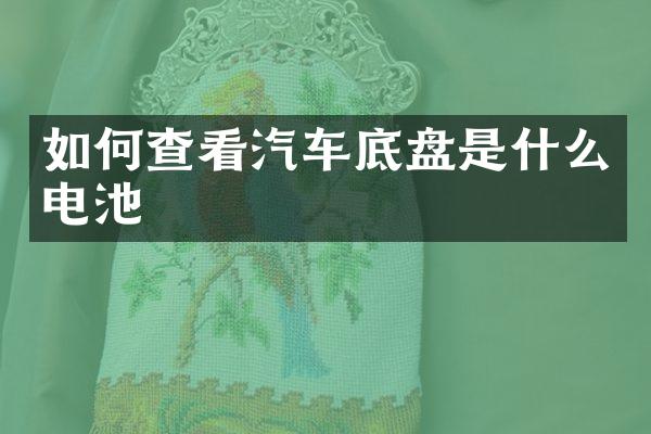 如何查看汽车底盘是什么电池