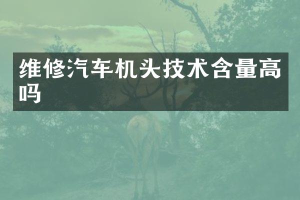 维修汽车机头技术含量高吗