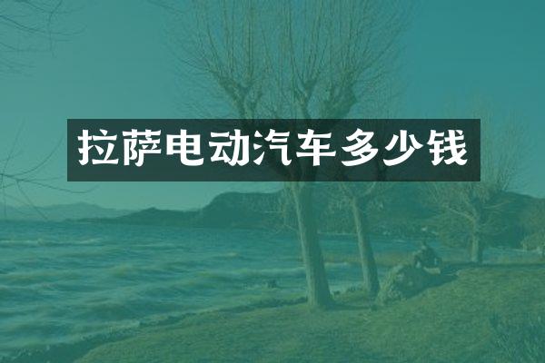 拉萨电动汽车多少钱