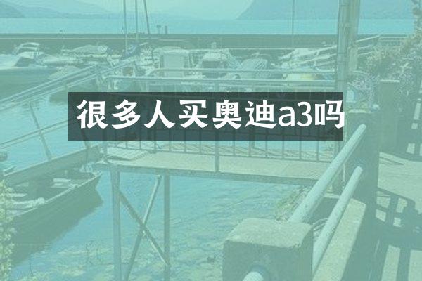 很多人买奥迪a3吗