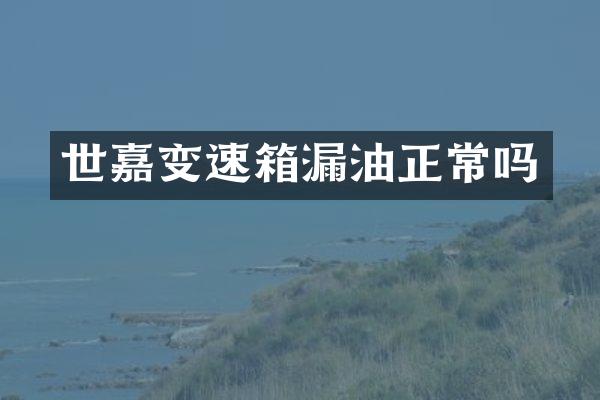 世嘉变速箱漏油正常吗
