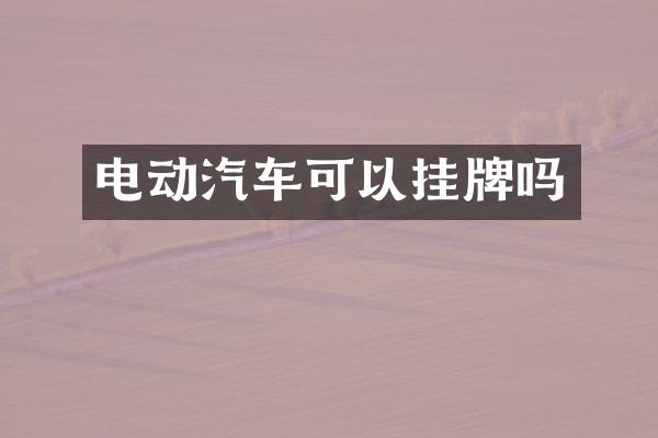 电动汽车可以挂牌吗