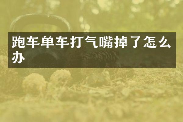 跑车单车打气嘴掉了怎么办