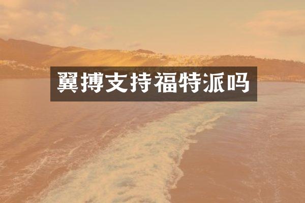 翼搏支持福特派吗