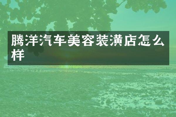腾洋汽车美容装潢店怎么样