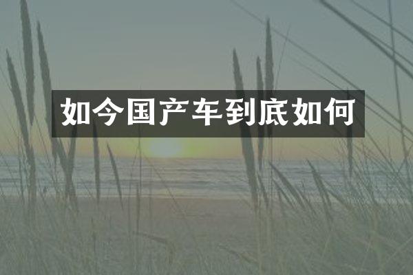 如今国产车到底如何
