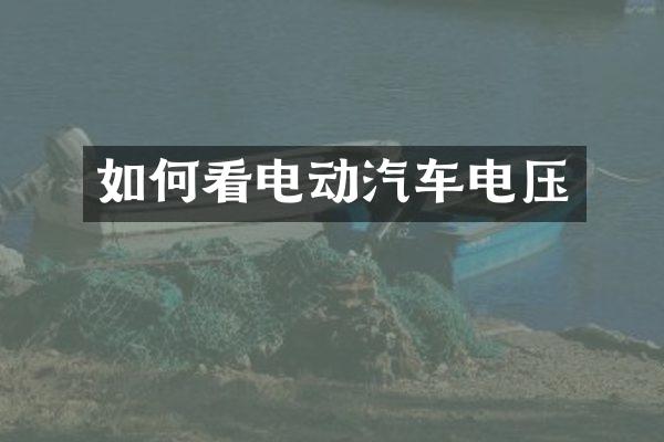 如何看电动汽车电压