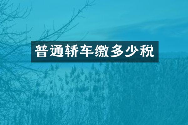 普通轿车缴多少税