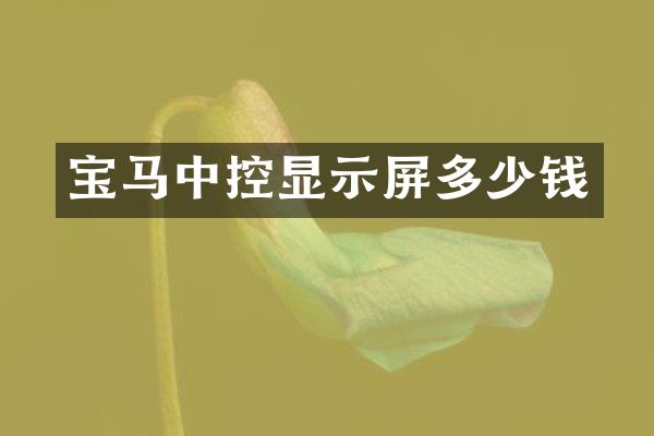 宝马中控显示屏多少钱