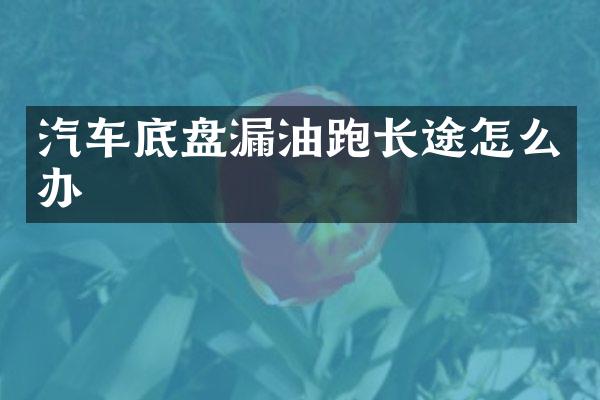 汽车底盘漏油跑长途怎么办