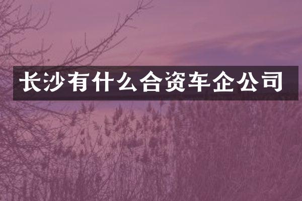 长沙有什么合资车企公司