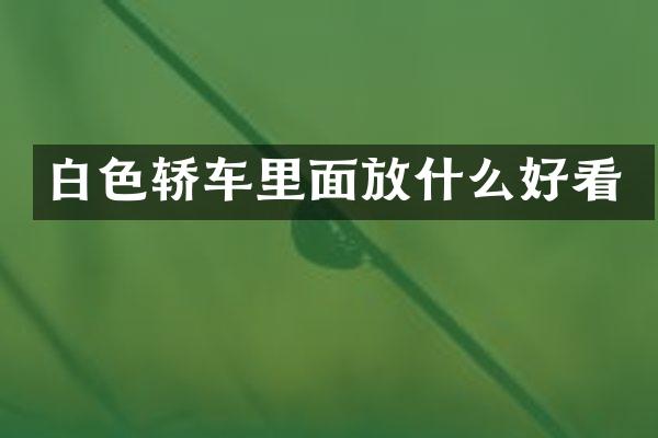 白色轿车里面放什么好看