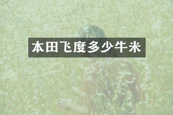 本田飞度多少牛米