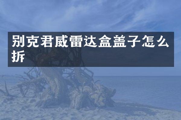 别克君威雷达盒盖子怎么拆