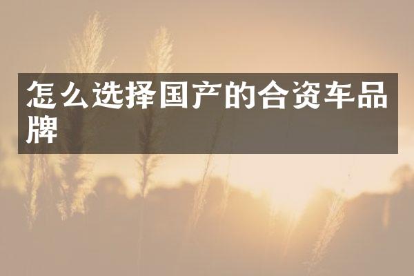 怎么选择国产的合资车品牌