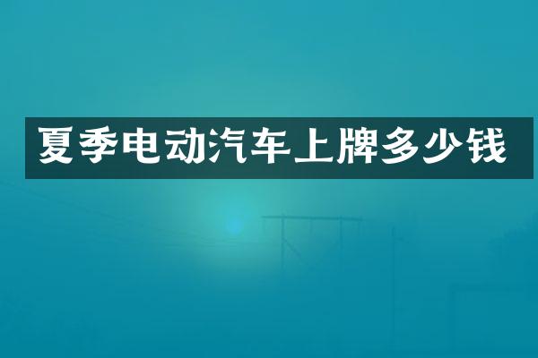 夏季电动汽车上牌多少钱