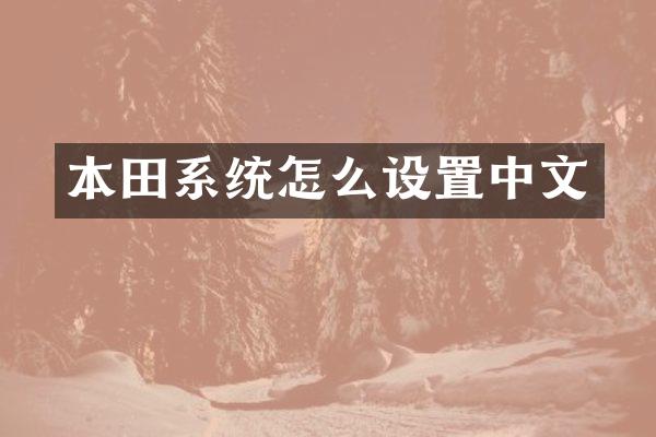 本田系统怎么设置中文