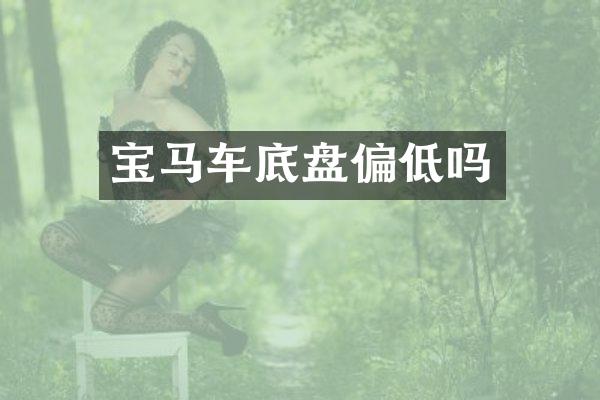 宝马车底盘偏低吗