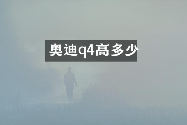 奥迪q4高多少