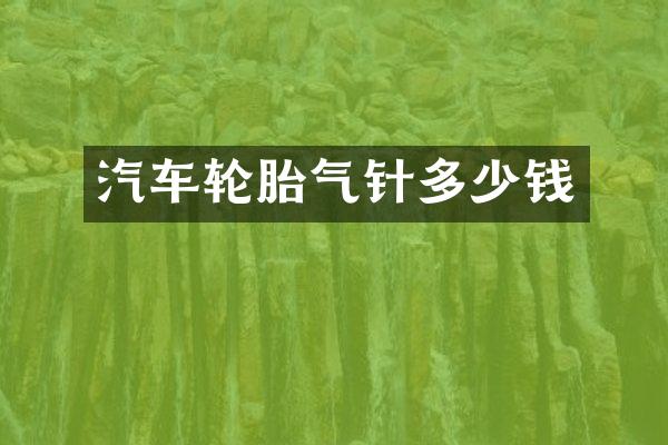 汽车轮胎气针多少钱