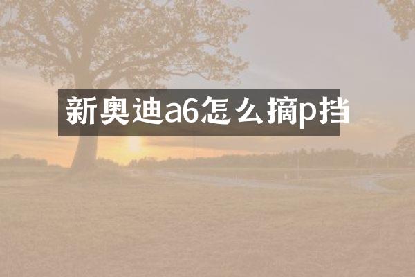 新奥迪a6怎么摘p挡
