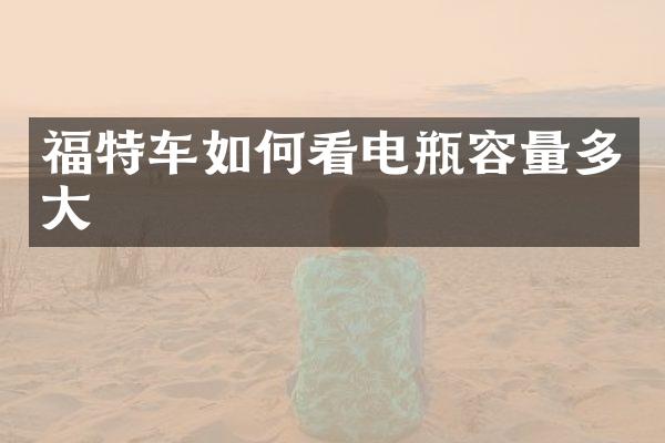 福特车如何看电瓶容量多大