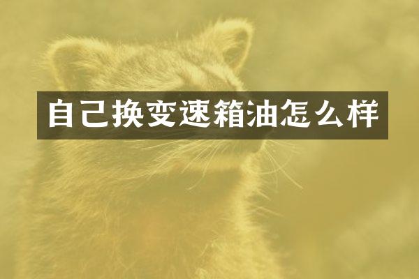 自己换变速箱油怎么样